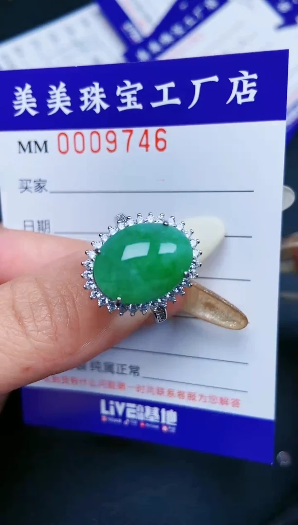 【闪购商品】翡翠颈饰银S925镶嵌9746
