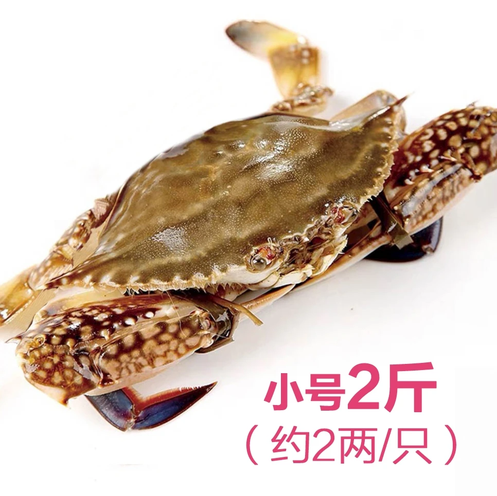 梭子蟹1份(小号,约1斤)包鲜不包活