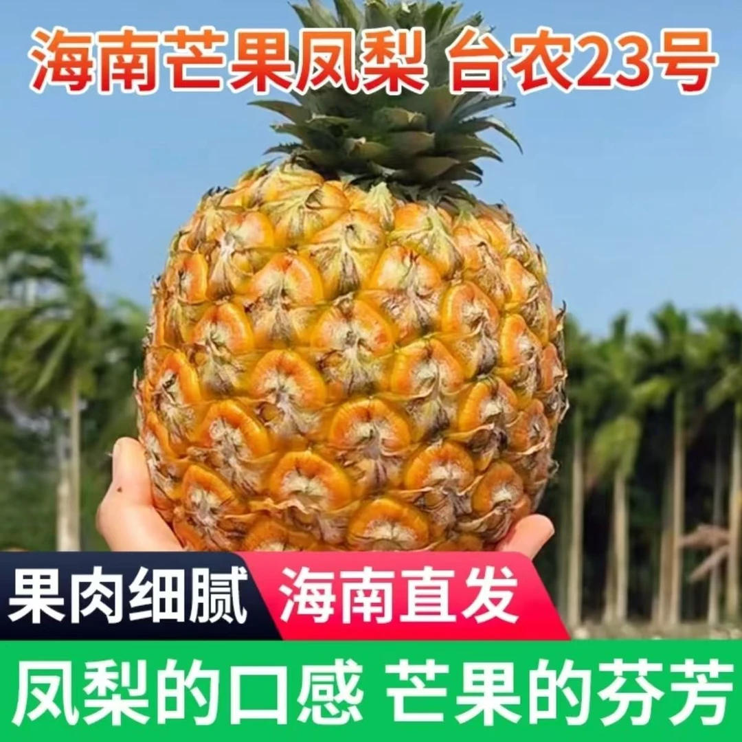 【正宗海南芒果凤梨】树上熟芒果凤梨新鲜水果应季现摘现发顺丰包邮