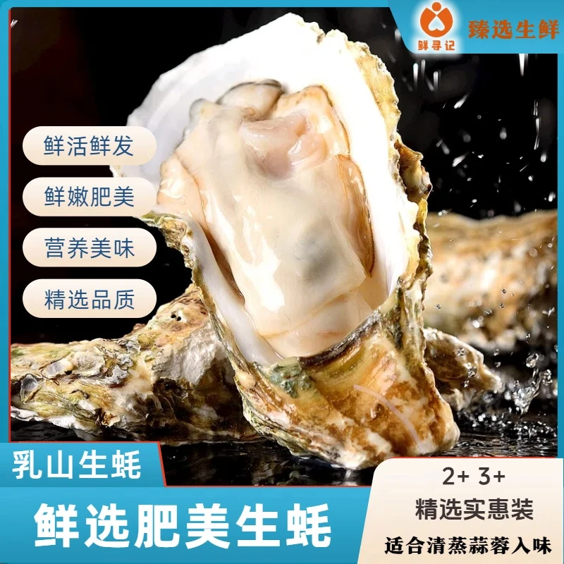 还未开价【正宗精品乳山生蚝】黄金4-6两买5斤送2斤共7斤鲜活海鲜