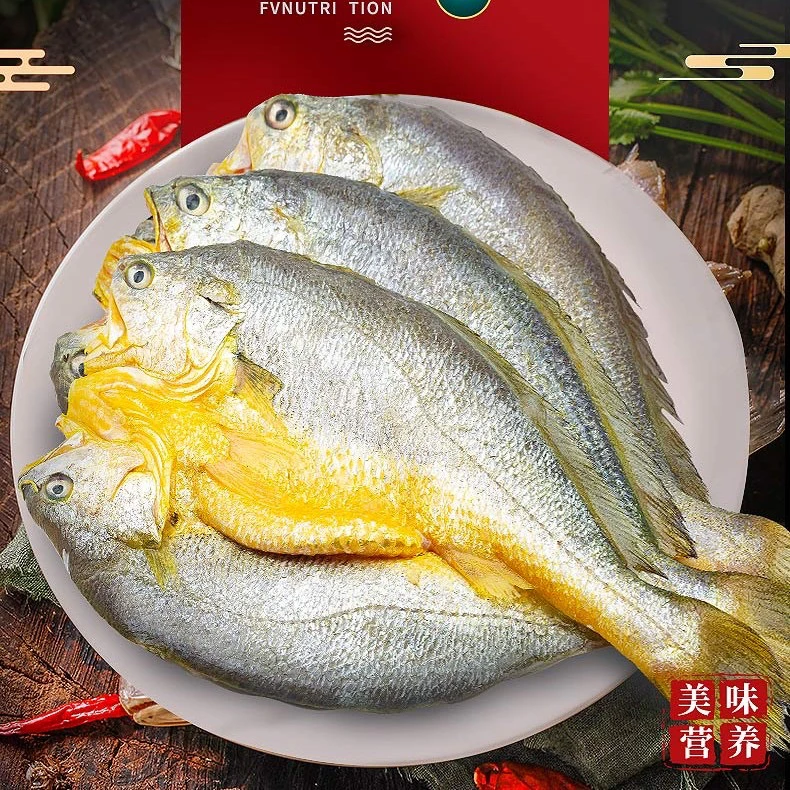 新300-340g/条宁德霞浦大黄鱼新鲜处理 顺丰包邮多仓发货5+1条