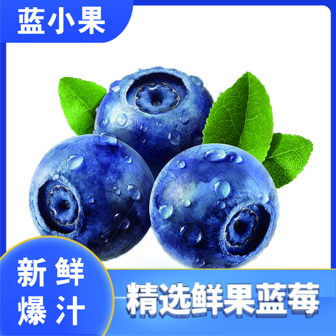 云南澄江抚仙湖畔现采现发露天种植当季新鲜限量版脆甜带花香蓝莓