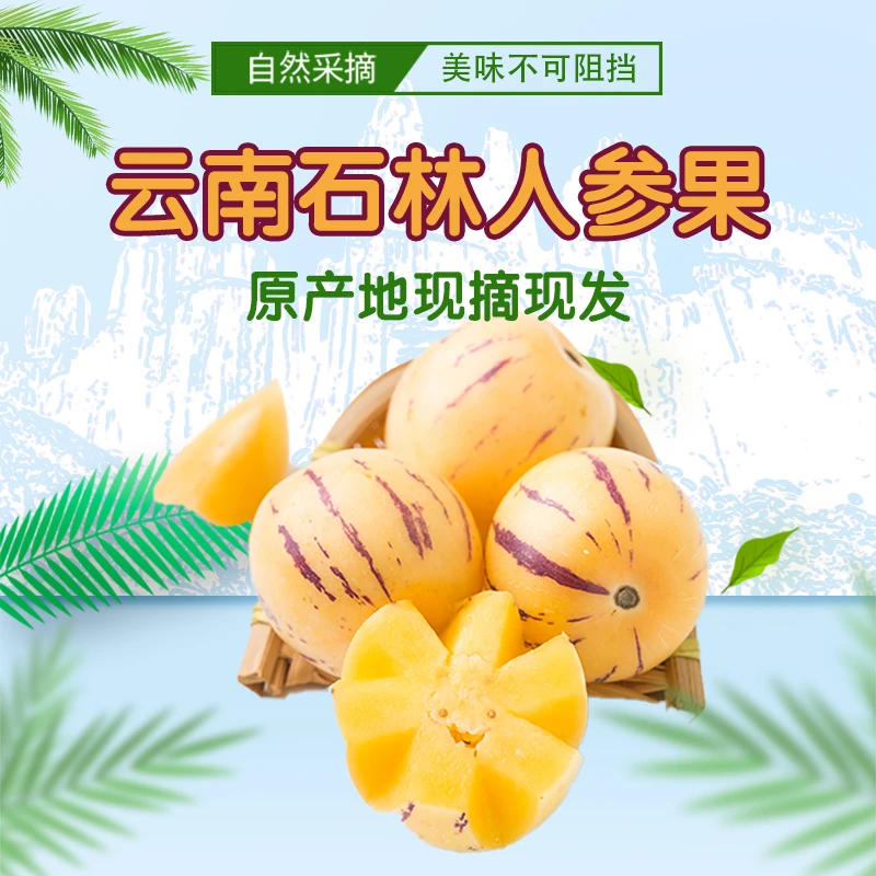 云南石林人参果应季新鲜树熟黄肉园大果皮薄清甜多汁现摘现发