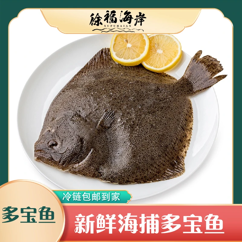 徐福海岸 新鲜 冷冻多宝鱼 单条6-8两左右*6条