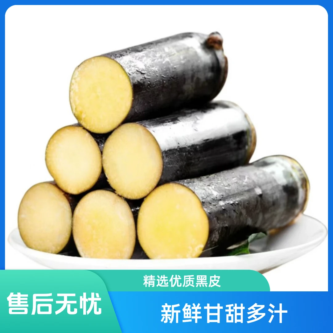 广西黑皮甘蔗1根