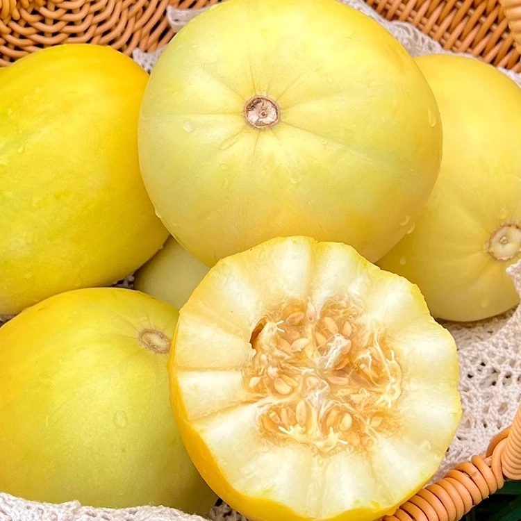 【天浪哥专属】山东小蜜蜂蜜瓜小糖罐甜瓜4.5斤包邮