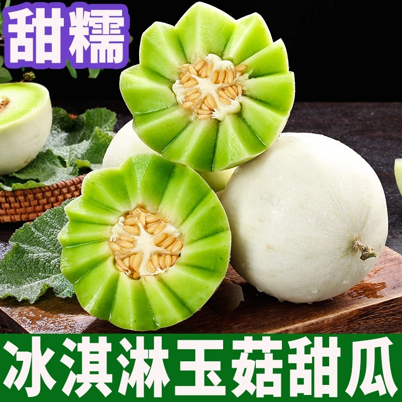 甜瓜哥山东冰淇淋玉菇甜瓜4.5-5斤包邮