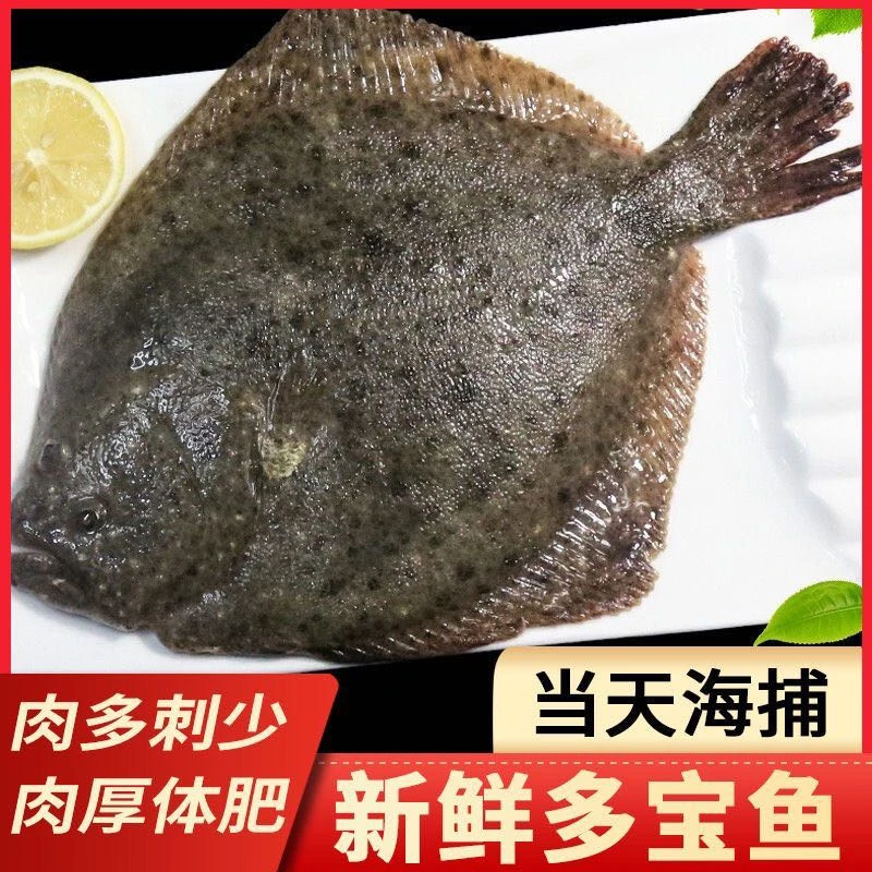 新鲜多宝鱼 优质比目鱼活体速冻 5条