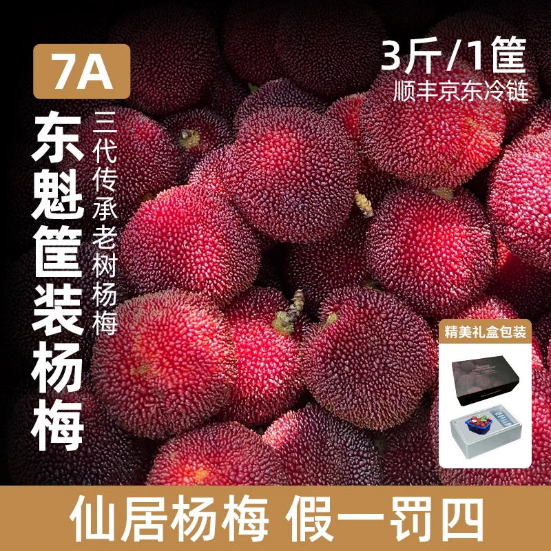 包邮-仙居东魁杨梅7A14-18克筐装现摘现发3斤顺丰京东空运