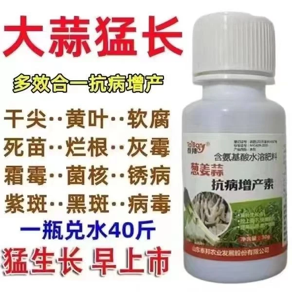 大蒜猛长膨大素大蒜专用水溶肥防干尖软腐病疫病病毒病白粉病锈病