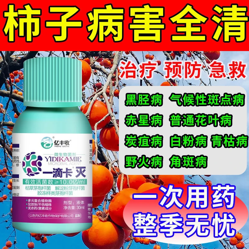 柿子炭疽病药专用杀菌剂高效防治麻叶病卷叶病白粉黑斑柿子病全治
