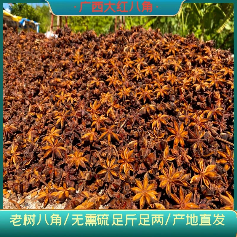 八角广西大红八角大料调味香料茴香农家散装香辛料浓郁颗粒