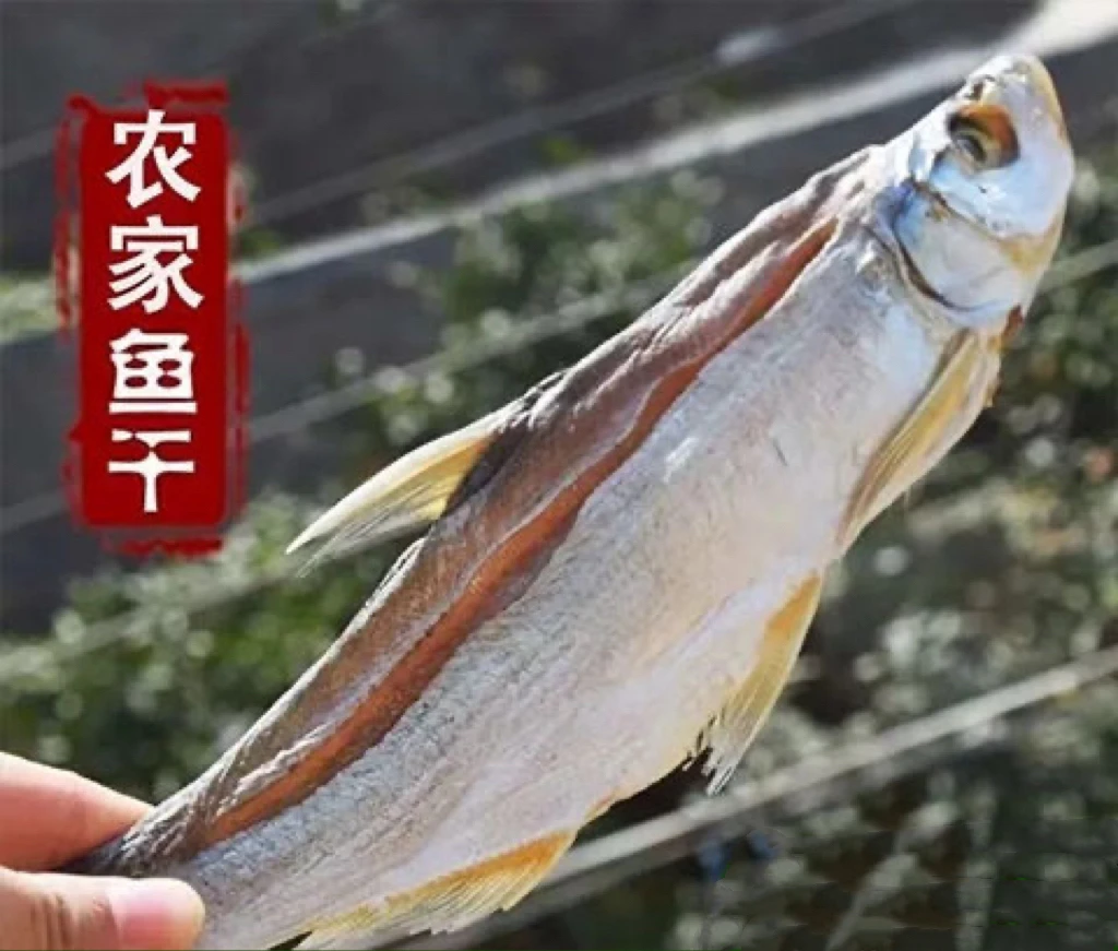 江西风鱼干翘嘴淡水小鱼干干货农家咸鱼干
