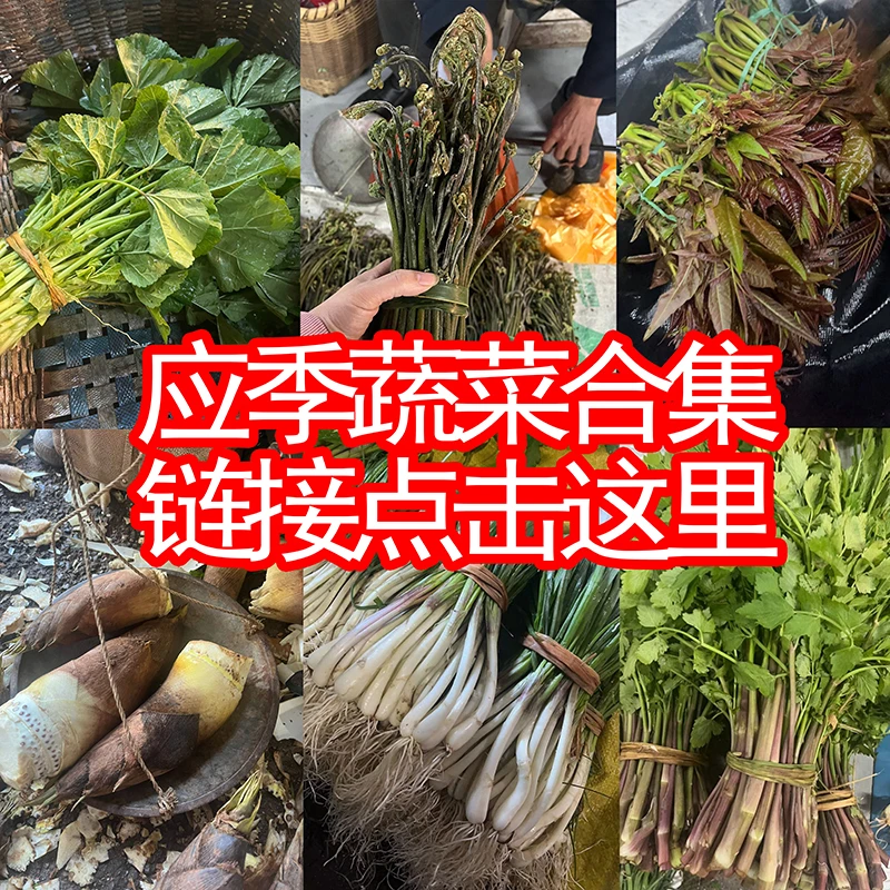 当季时令蔬菜链接