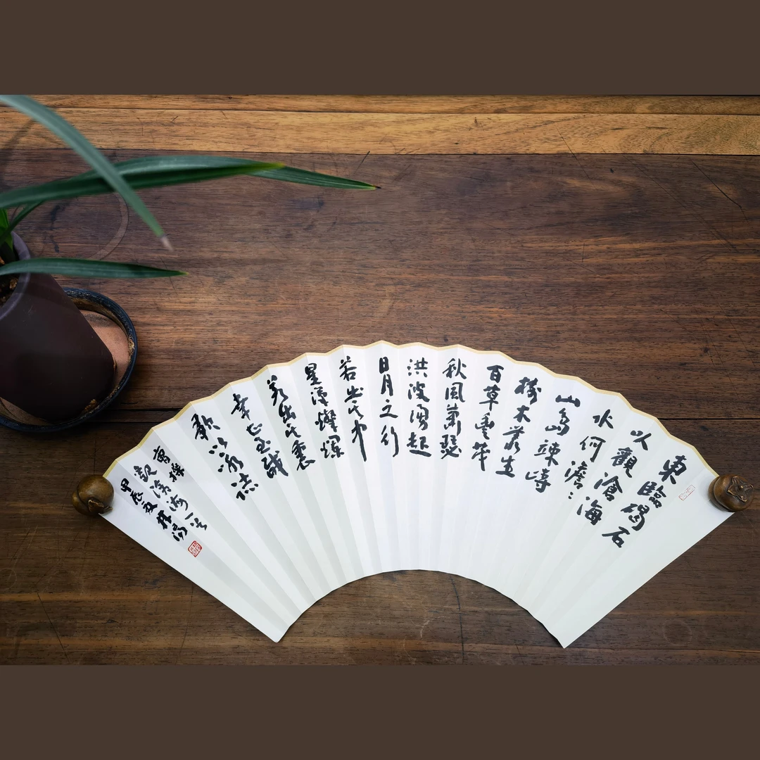 林阳书法《观沧海》