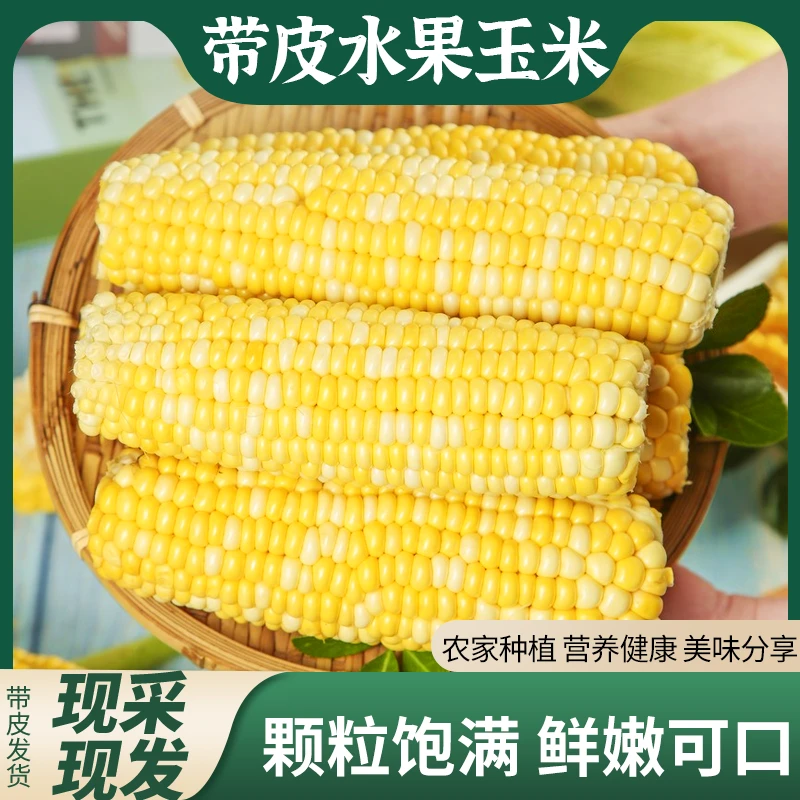 云南新鲜水果玉米甜脆爆浆金银双色玉米农家自种玉米棒