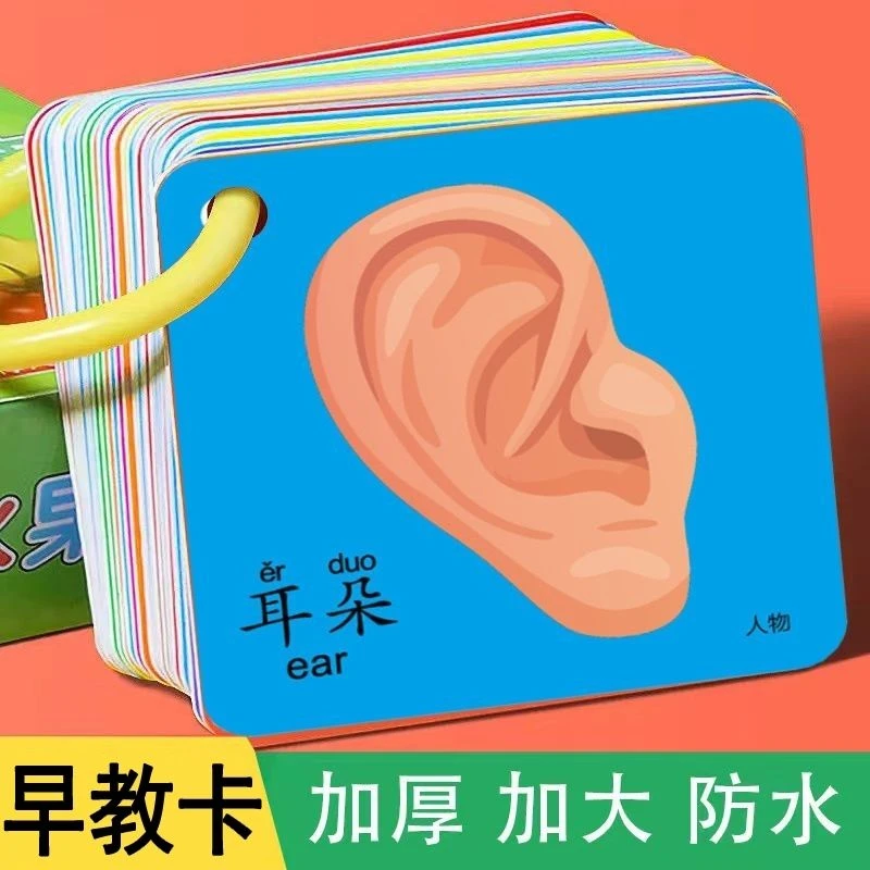 婴幼儿益智启蒙认知卡片0-6岁宝宝撕不烂早教书看图识字拼音双面