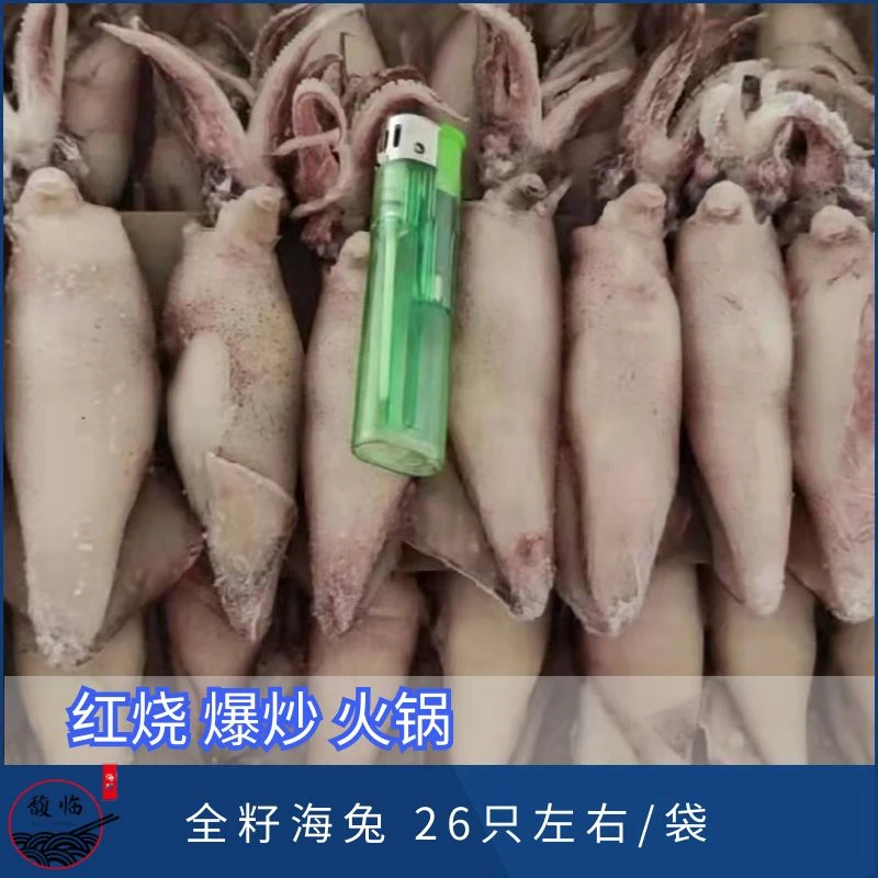 连云港发货 全籽海兔 26只左右/袋