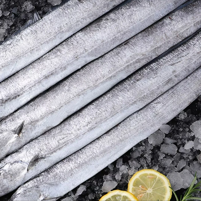 【中大号】黄海野生小眼油带鱼 鲜带鱼4斤装 速冻锁鲜 渔港直发