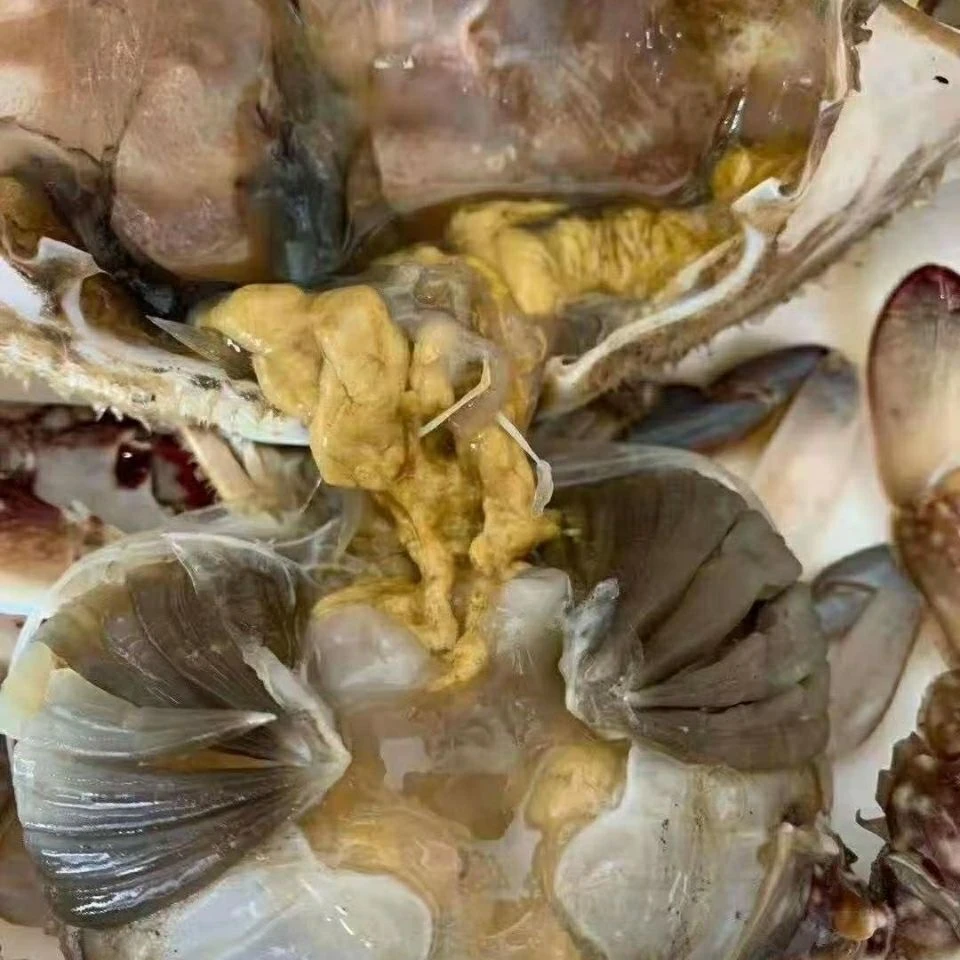 《一卤鲜》即食生吃 咸蟹 速冻活蟹