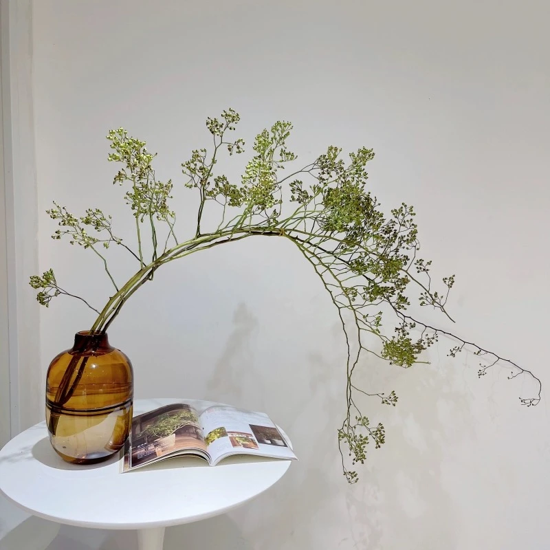 小众花材 | [山归来]~可做干花永生花家居店铺办公室水养装饰花材
