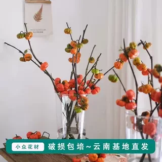 云南鲜花基地直发大南瓜可以水养可以做干花家居店铺装饰小众花材