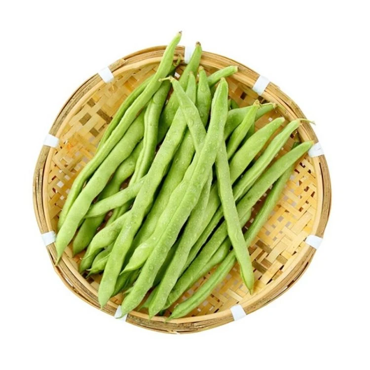 500克四季豆/新鲜四季豆