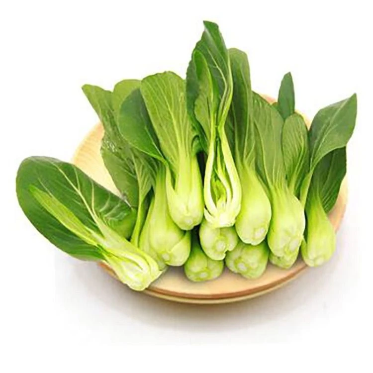 上海青苗小青菜 瓢儿白 约250g