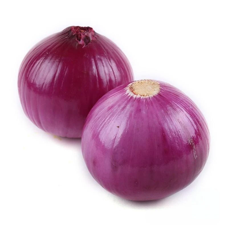 洋葱【1个】