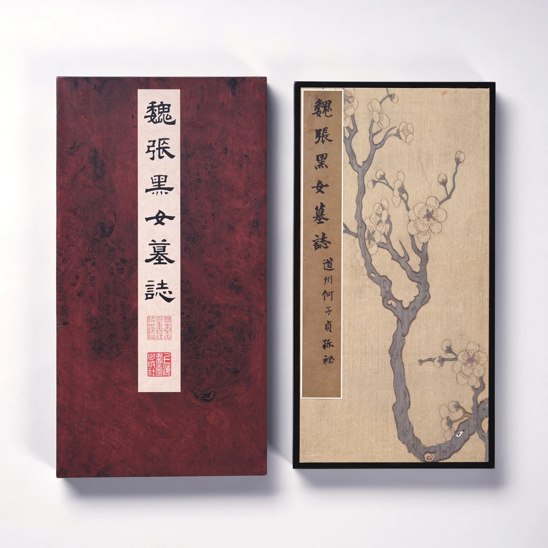 《魏张黑女墓志》上海书画出版社 编