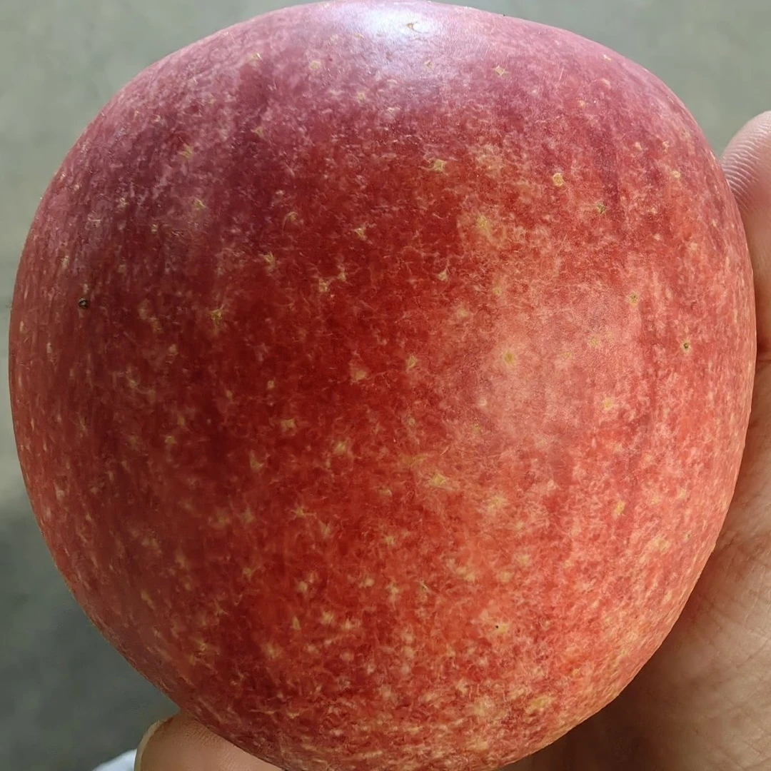 国产爱妃苹果新鲜水果脆甜多汁孕妇新鲜水果产地直发新鲜爱妃苹果