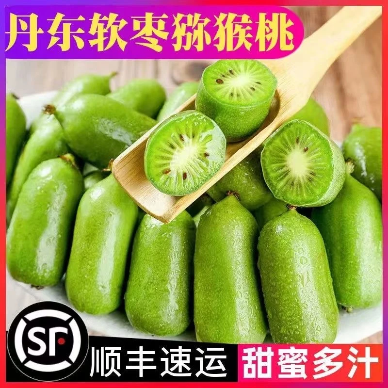 【顺丰包邮】丹东软枣猕猴桃东北软枣小猕猴桃新鲜奇异莓新鲜猕猴桃