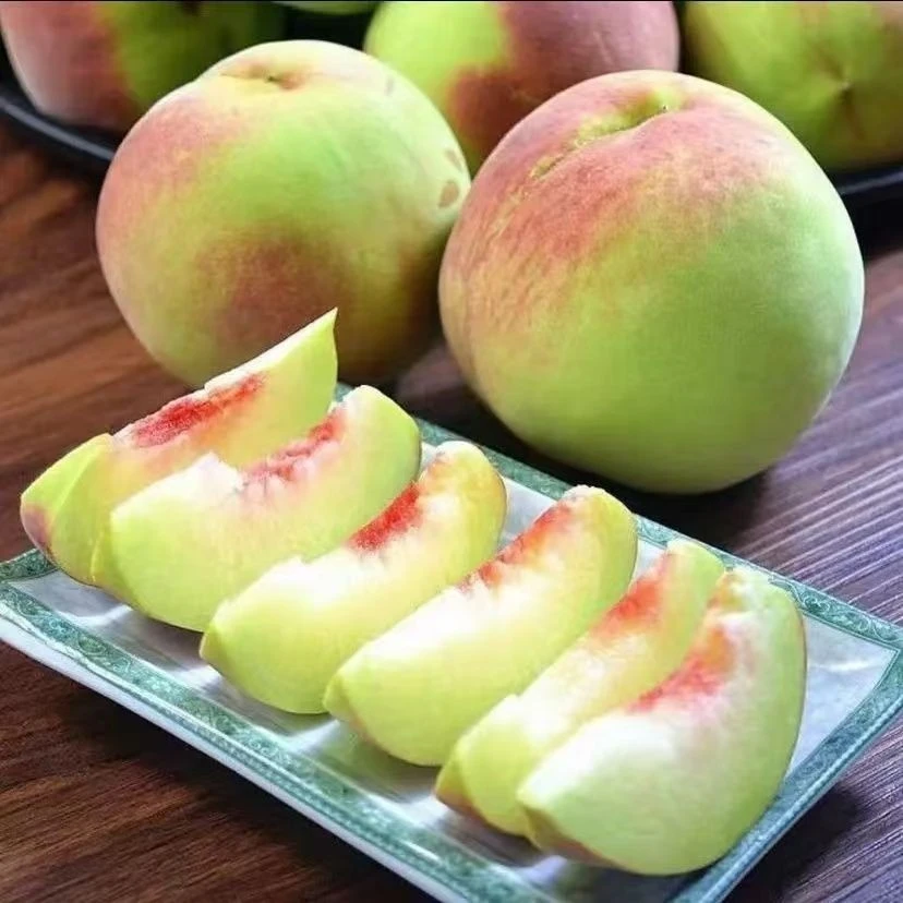【现摘现发】山东冬雪蜜桃丑桃脆甜爽口爆甜多汁蜜香味浓郁孕妇水果