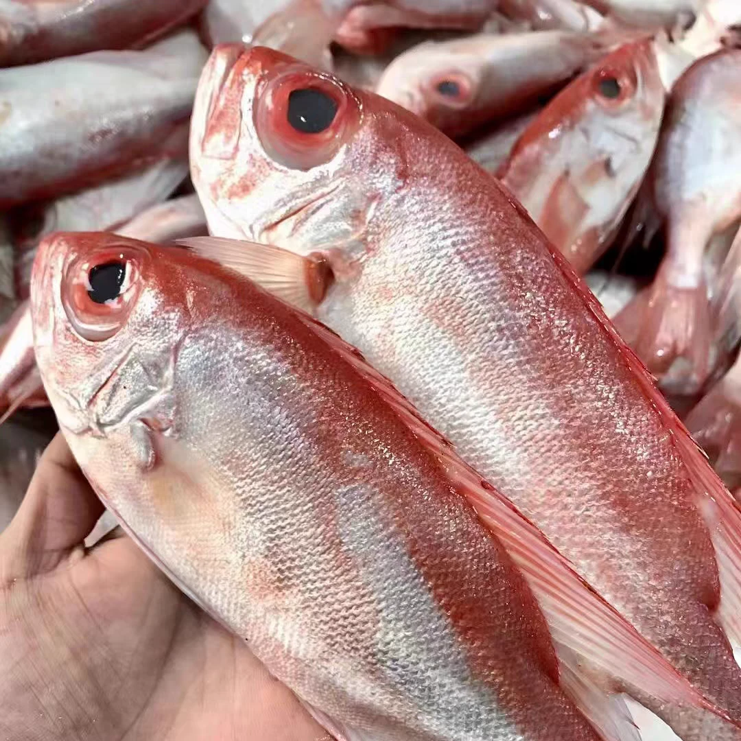 3本港野生大眼鸡红目鲢海鱼广东阳江码头冷链包邮