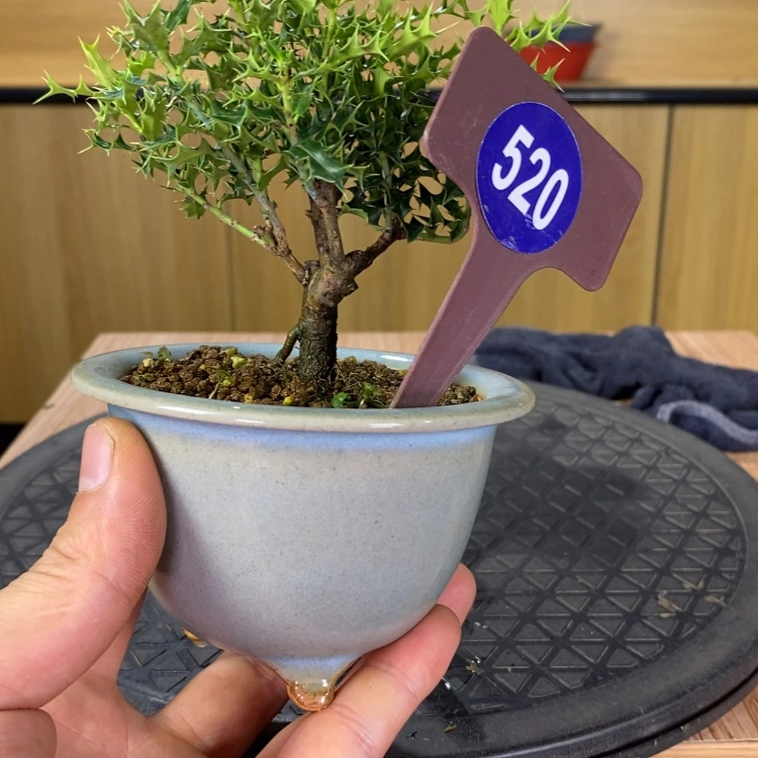 红陶20CM(含)-50CM(不含)断*流520