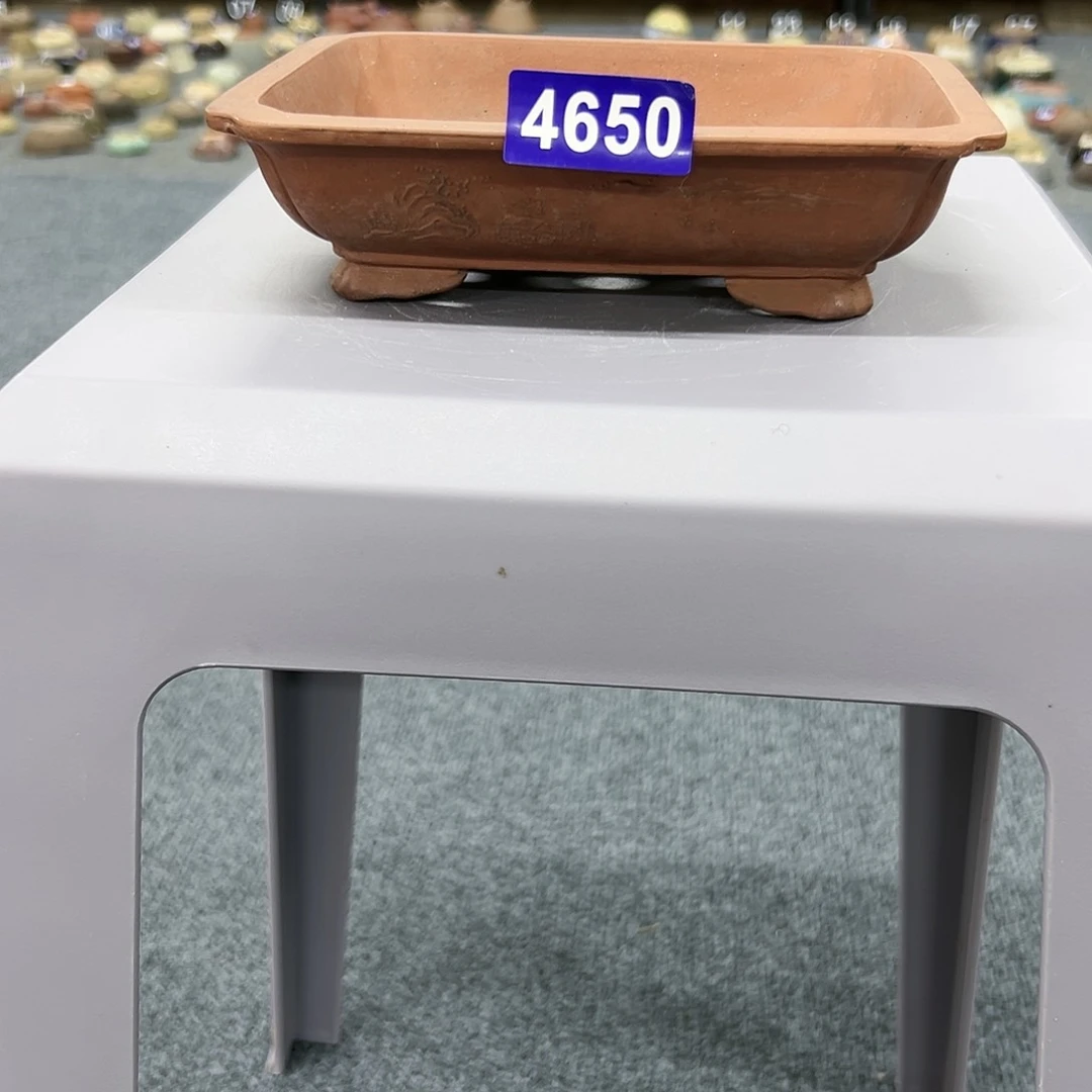 红陶20CM（含）-50CM（不含）彡***®4650