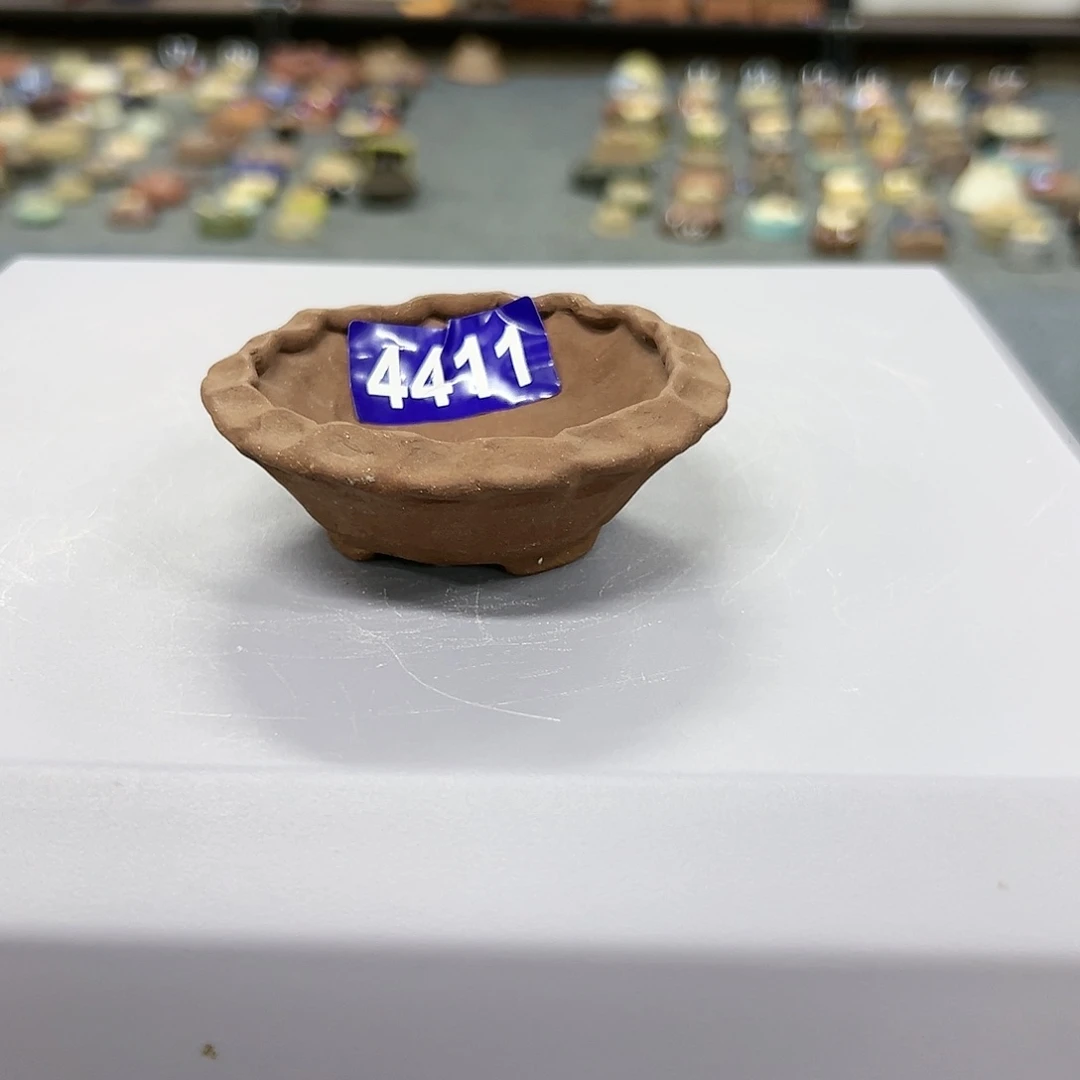 红陶20CM（含）-50CM（不含）沈*帅4411