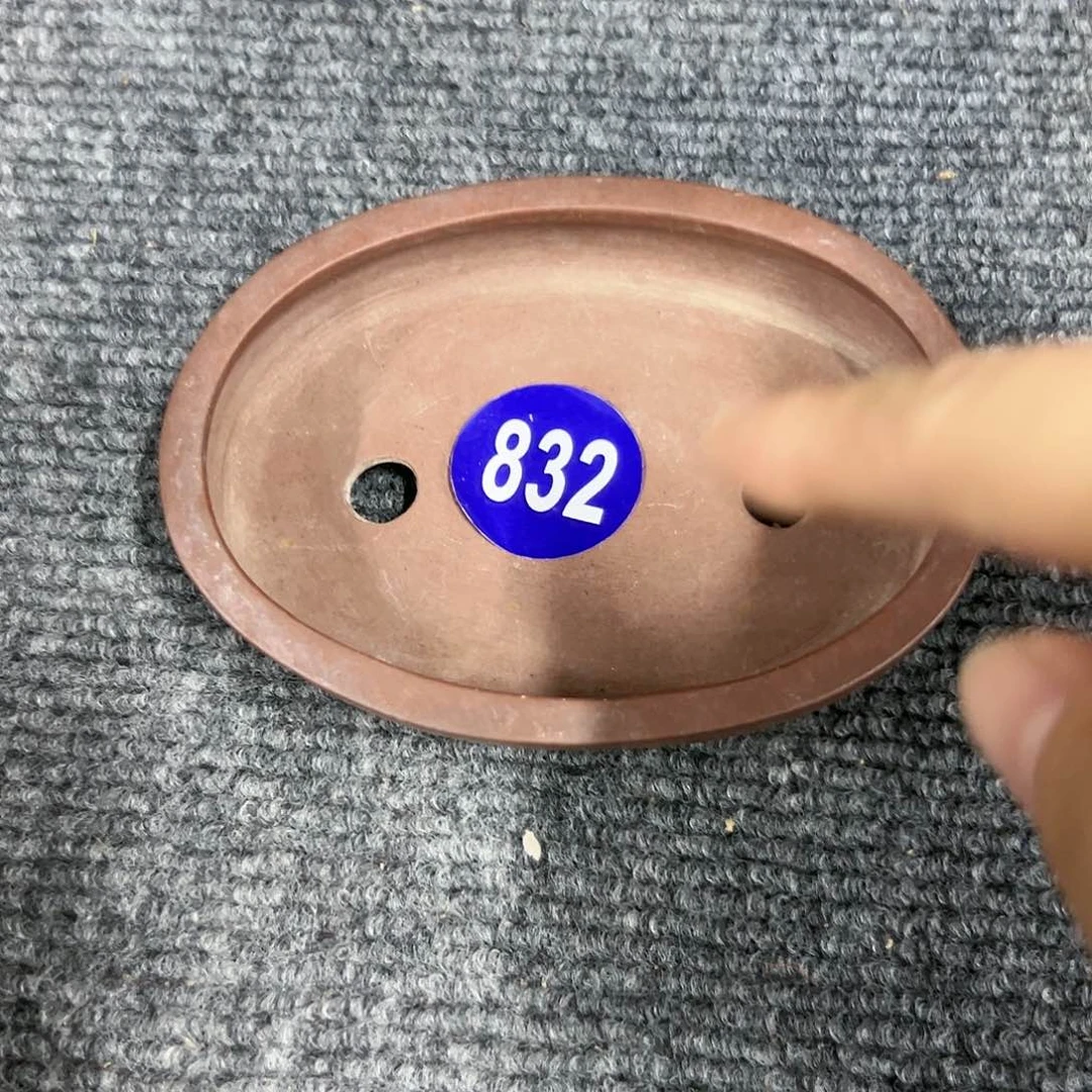 红陶20CM(含)-50CM(不含)S**y832