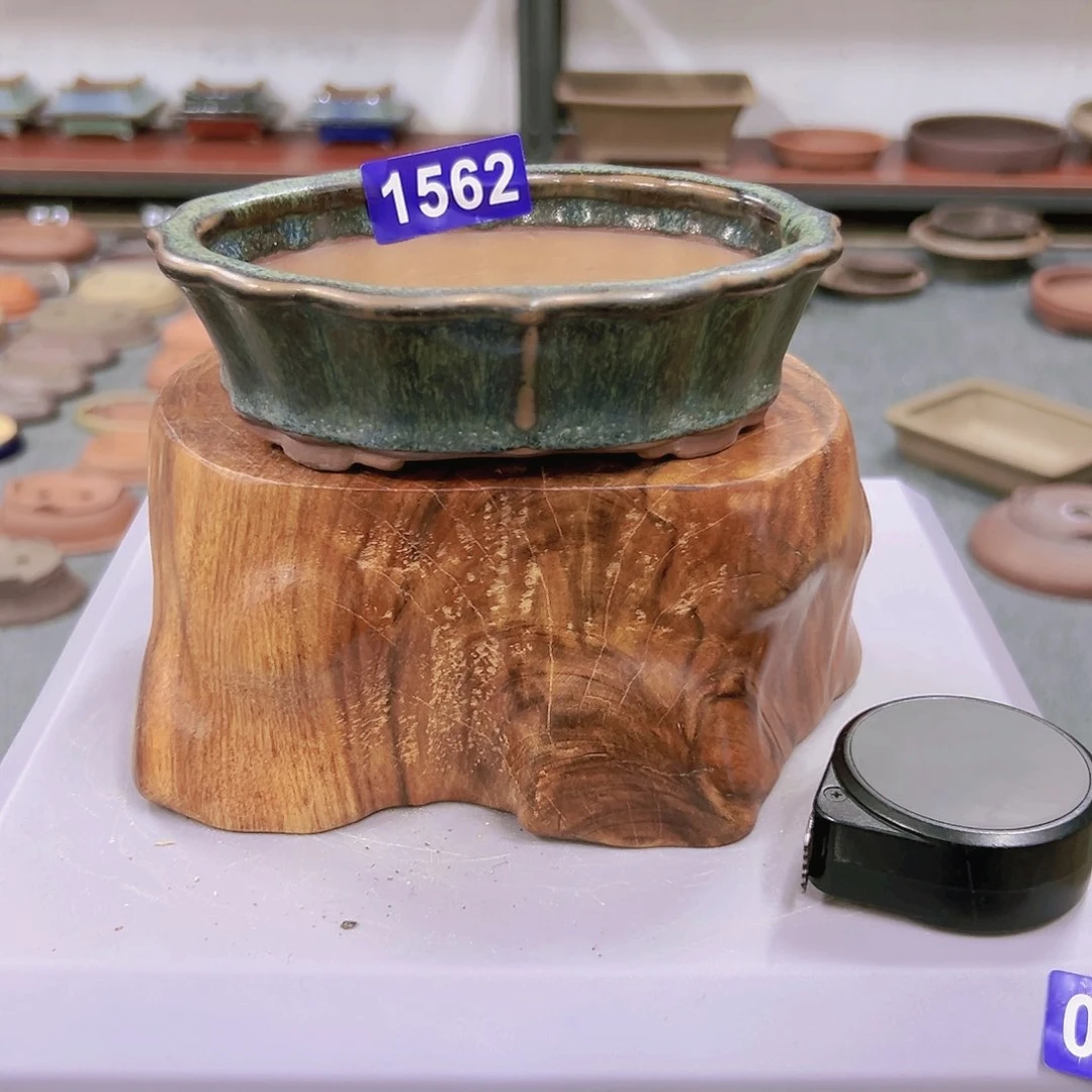 红陶20CM（含）-50CM（不含）江**邓1562