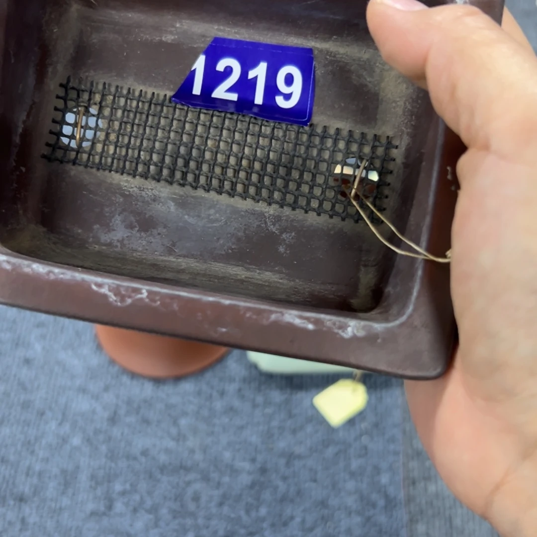 红陶20CM（含）-50CM（不含）映**昔1219