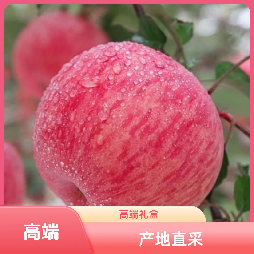河北宽城苹果 脆甜红富士 当季时令水果 礼盒 承德产地直采直发