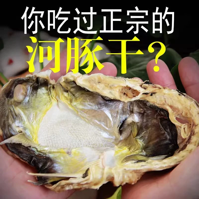河豚鱼干足干养殖已处理无毒淡晒干滋补养容海鲜干货煲汤湛江特产