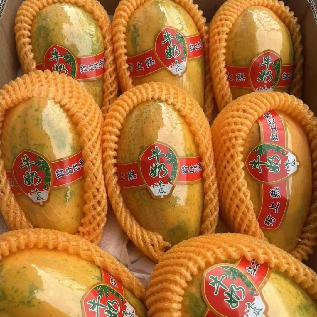 牛奶木瓜1个