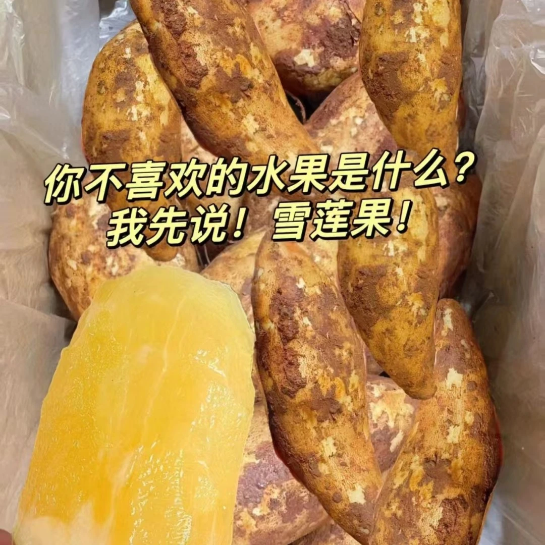 【市场直发】雪莲果5斤