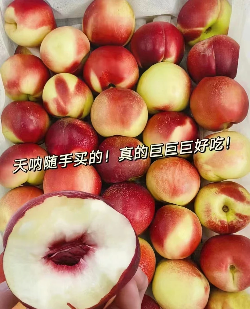 珍珠枣油桃2斤