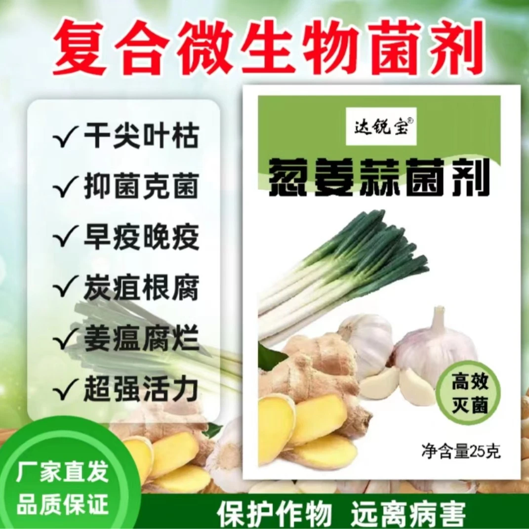 葱姜蒜菌剂高效锈病灰霉病干尖肥料微生物菌剂加大粉剂病害根腐病