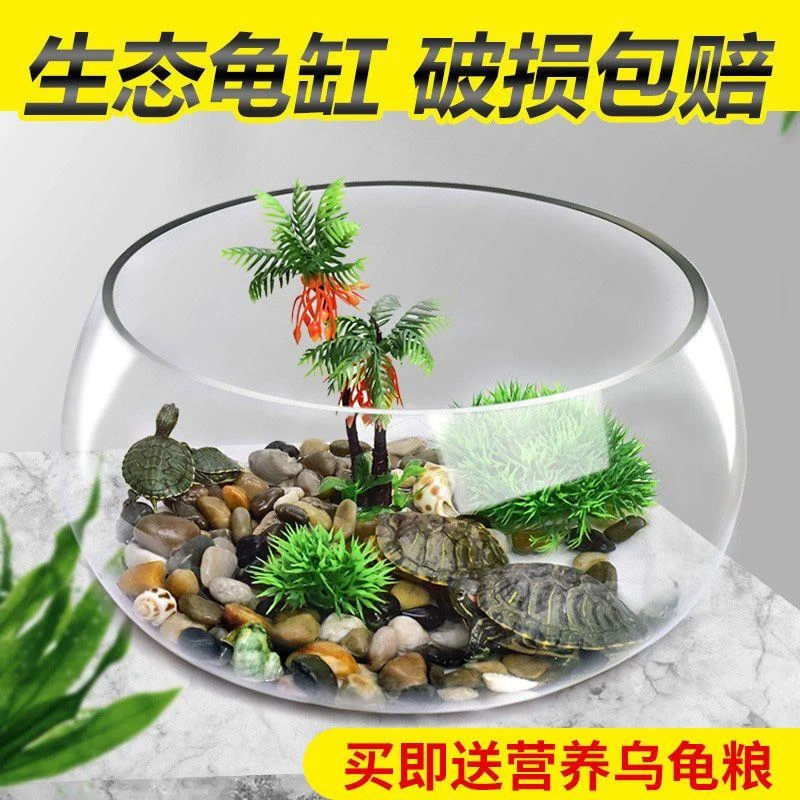乌龟缸玻璃圆形办公桌绿萝水培家用小鱼创意透明小型迷你桌面龟缸