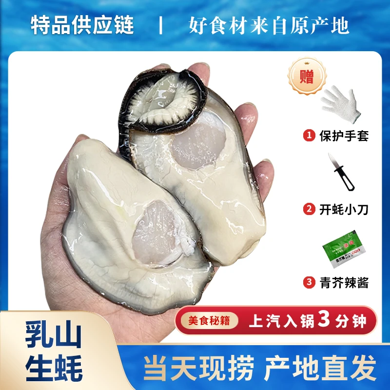 【顺丰包邮】乳山生蚝 原产地现捞现发&生鲜海鲜&净重5斤&牡蛎新鲜