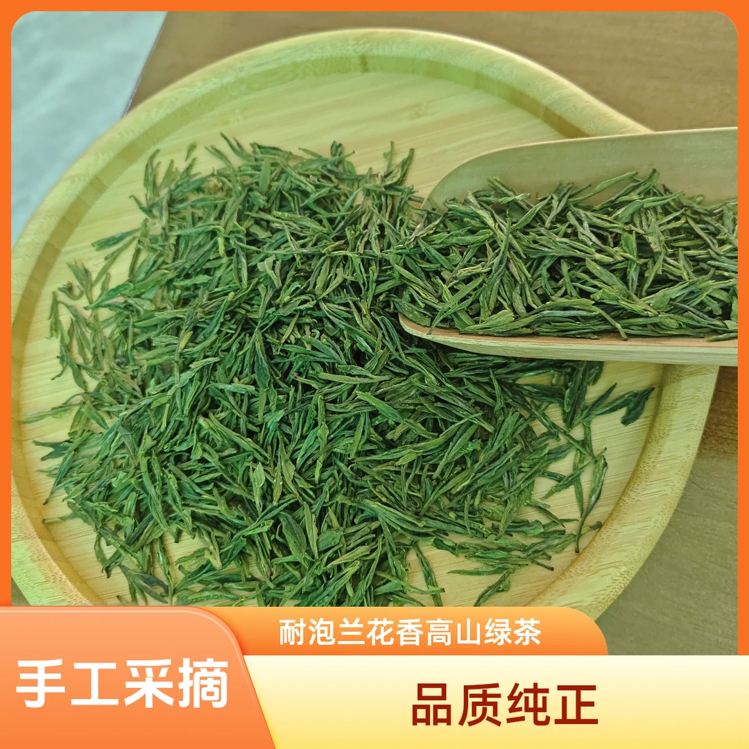 柯坦云雾景卉 2025新茶明前绿茶 耐泡兰花香 手工采摘