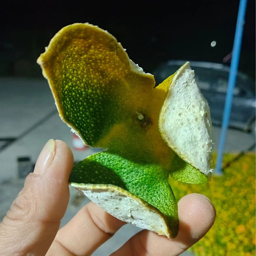 2024陈皮农户自销金水柑皮鄂柑一号橘子皮二红柑橘皮三花桔子皮